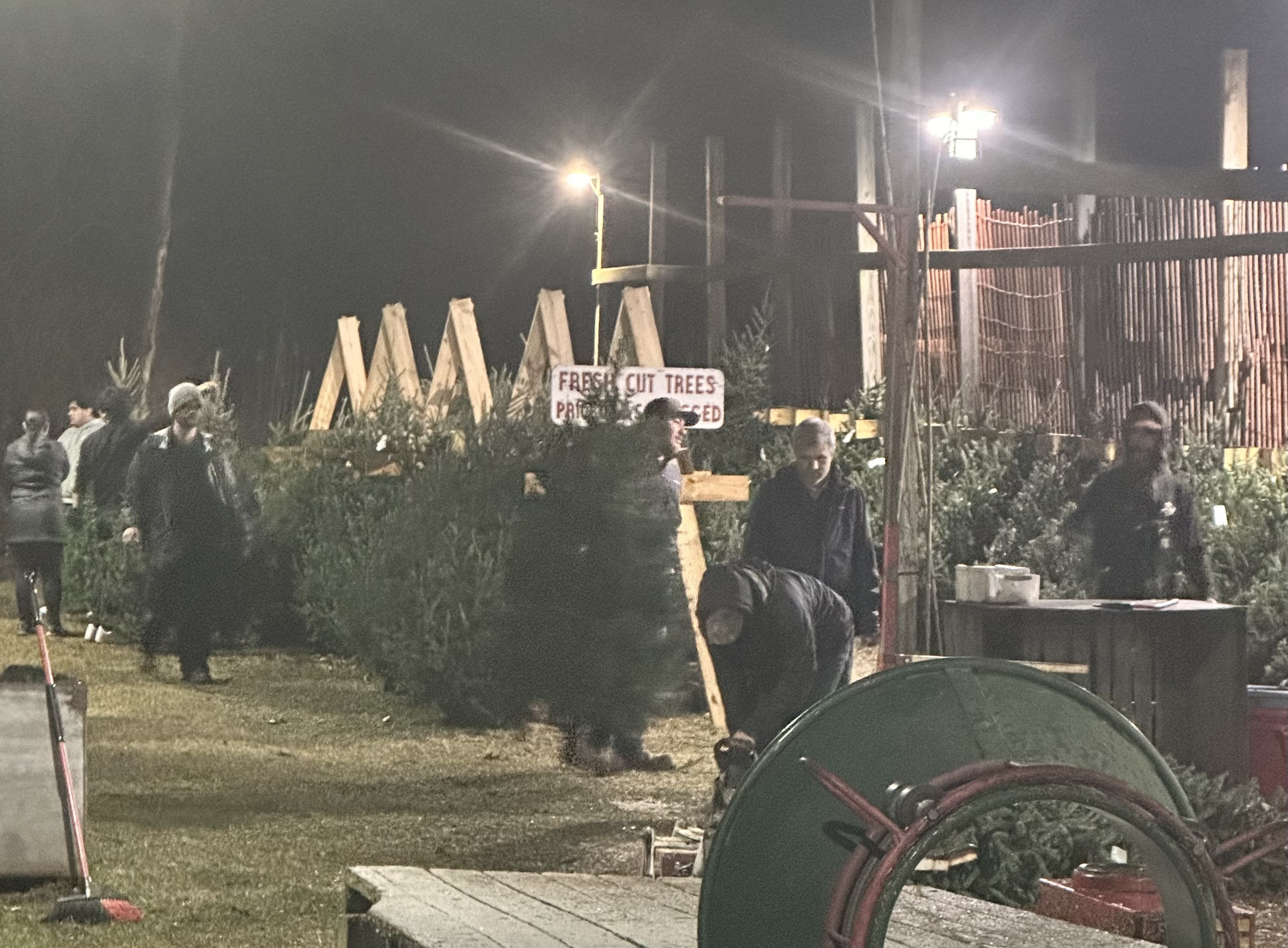 Pre-cut Christmas trees from our fields